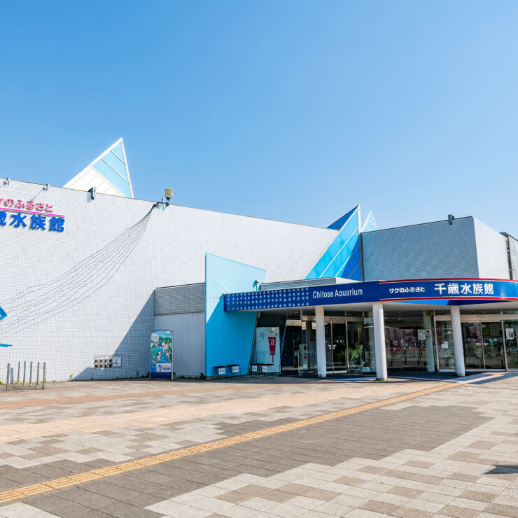 2014年11月～2015年7月 サケのふるさと 千歳水族館 リニューアル(内部電気配線工事)