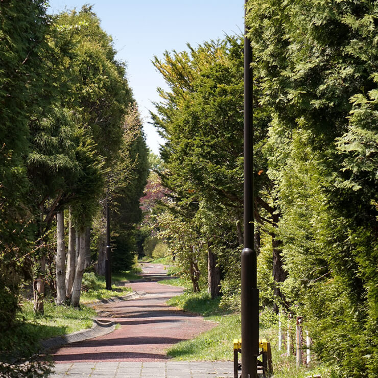 2017年10月～2018年1月 向陽台地区 遊歩道 街路灯(建替工事)